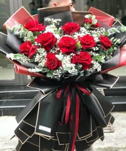 Hoa Cúc Họa Mi - Sức Sống Tươi Trẻ